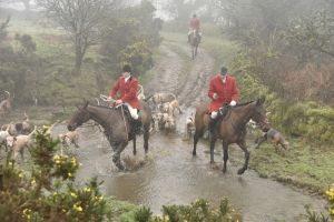 1772030041_1772030041_dsc8111