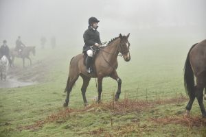 1772030073_1772030073_dsc8120