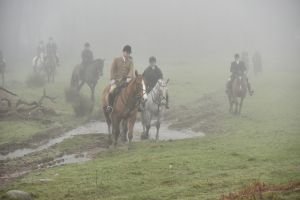 1772030080_1772030080_dsc8122