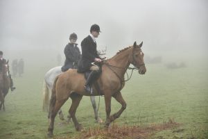 1772030083_1772030083_dsc8123