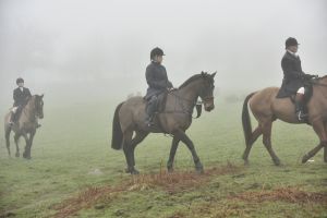 1772030096_1772030096_dsc8127