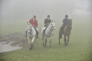 1772030127_1772030127_dsc8136