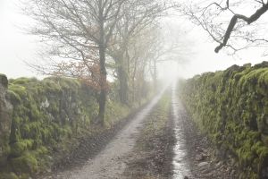 1772030131_1772030131_dsc8137