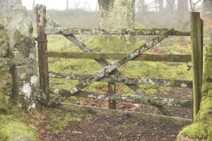 1772030167_1772030167_dsc8145