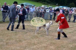 1771330638_1771330638_dunster-country-fair-2016-003