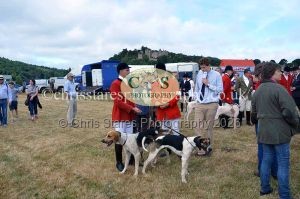 1771330639_1771330639_dunster-country-fair-2016-004
