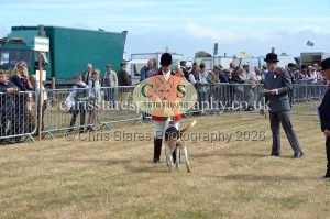 1771330641_1771330641_dunster-country-fair-2016-005