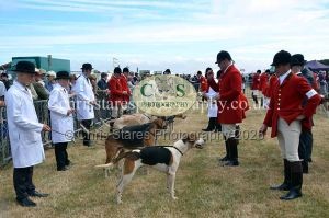 1771330643_1771330643_dunster-country-fair-2016-007