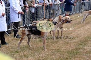 1771330646_1771330646_dunster-country-fair-2016-009
