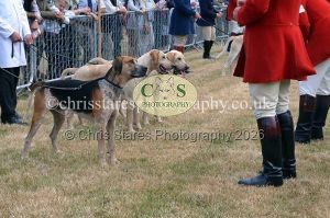 1771330647_1771330647_dunster-country-fair-2016-010