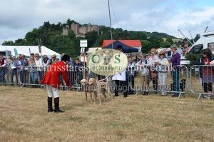 1771330649_1771330649_dunster-country-fair-2016-011