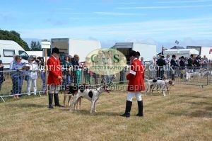 1771330651_1771330651_dunster-country-fair-2016-013