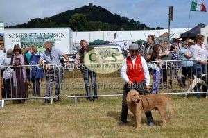 1771330658_1771330658_dunster-country-fair-2016-018