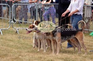 1771330662_1771330662_dunster-country-fair-2016-021