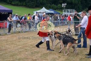 1771330664_1771330664_dunster-country-fair-2016-023