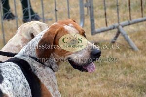 1771330669_1771330669_dunster-country-fair-2016-027