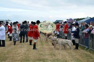 1771330671_1771330671_dunster-country-fair-2016-028