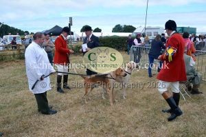 1771330677_1771330677_dunster-country-fair-2016-033