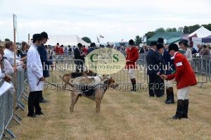 1771330685_1771330685_dunster-country-fair-2016-039