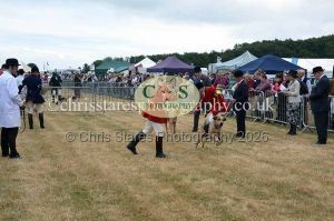1771330686_1771330686_dunster-country-fair-2016-040