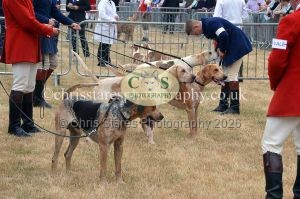 1771330688_1771330688_dunster-country-fair-2016-042