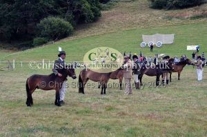 1771330690_1771330690_dunster-country-fair-2016-043