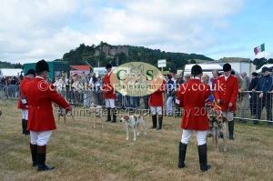 1771330695_1771330695_dunster-country-fair-2016-047