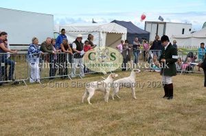 1771330700_1771330700_dunster-country-fair-2016-051