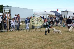 1771330703_1771330703_dunster-country-fair-2016-053