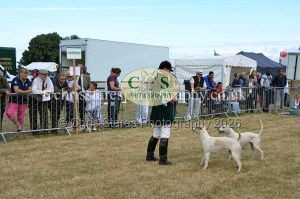 1771330704_1771330704_dunster-country-fair-2016-054
