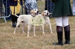 1771330711_1771330711_dunster-country-fair-2016-059