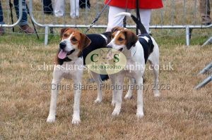 1771330718_1771330718_dunster-country-fair-2016-065