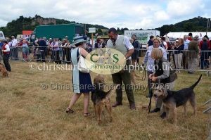 1771330725_1771330725_dunster-country-fair-2016-070