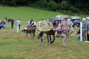 1771330728_1771330728_dunster-country-fair-2016-073