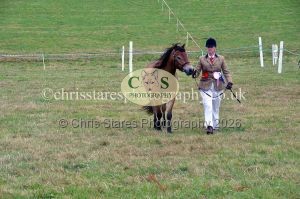1771330731_1771330731_dunster-country-fair-2016-075