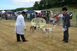 1771330738_1771330738_dunster-country-fair-2016-080