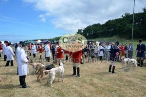 1771330742_1771330742_dunster-country-fair-2016-083