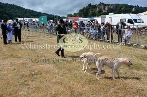 1771330748_1771330748_dunster-country-fair-2016-088
