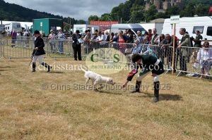 1771330752_1771330752_dunster-country-fair-2016-091