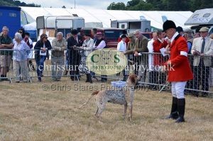 1771330760_1771330760_dunster-country-fair-2016-097
