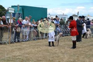 1771330764_1771330764_dunster-country-fair-2016-100