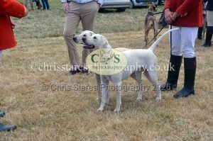 1771330772_1771330772_dunster-country-fair-2016-106