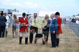 1771330780_1771330780_dunster-country-fair-2016-112