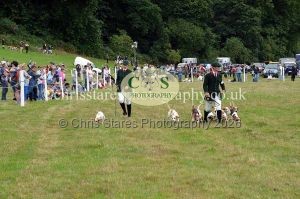 1771330785_1771330785_dunster-country-fair-2016-116