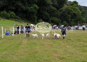 1771330789_1771330789_dunster-country-fair-2016-119