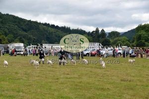 1771330790_1771330790_dunster-country-fair-2016-120