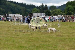 1771330791_1771330791_dunster-country-fair-2016-121