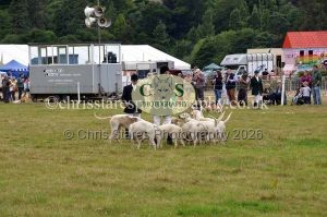 1771330794_1771330794_dunster-country-fair-2016-123