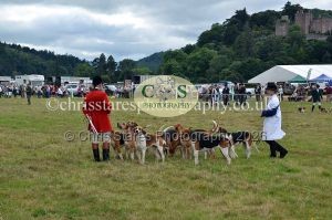 1771330798_1771330798_dunster-country-fair-2016-126
