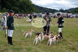 1771330799_1771330799_dunster-country-fair-2016-127